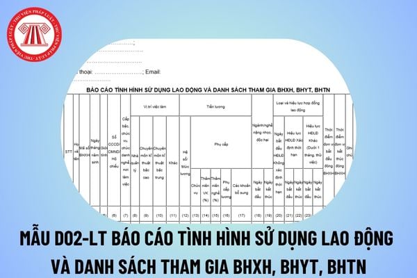 Mẫu D02 LT mới nhất 2024 và cách viết Báo cáo tình hình sử dụng lao động và tham gia BHXH, BHYT, BHTN? Tải mẫu D02-LT?