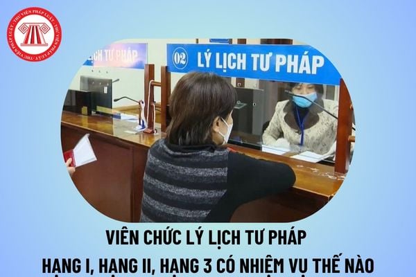 Viên chức lý lịch tư pháp hạng I, hạng II, hạng III có nhiệm vụ và tiêu chuẩn về năng lực chuyên môn nghiệp vụ thế nào?