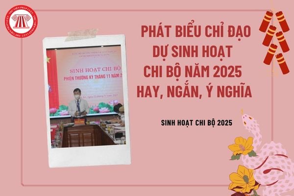 Phát biểu chỉ đạo dự sinh hoạt chi bộ năm 2025 hay ý nghĩa? Bài phát biểu trong cuộc họp chi bộ 2025 ngắn gọn thế nào?