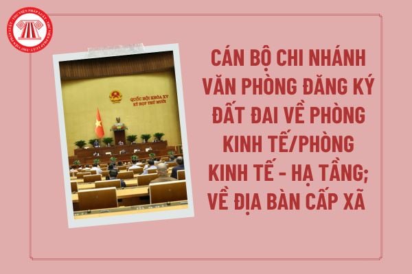 Pháp luật