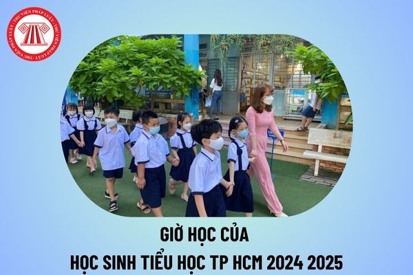 Tiểu học bắt đầu học lúc mấy giờ? Giờ học của học sinh tiểu học TP HCM 2024 2025 chi tiết thế nào?