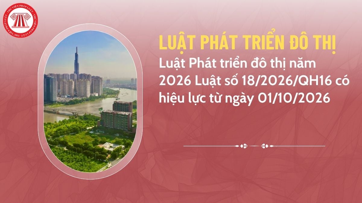 Pháp luật