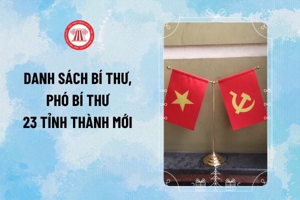 Pháp luật
