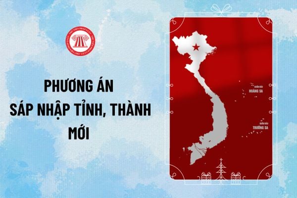 Pháp luật