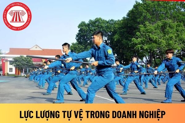 dân quân tự vệ