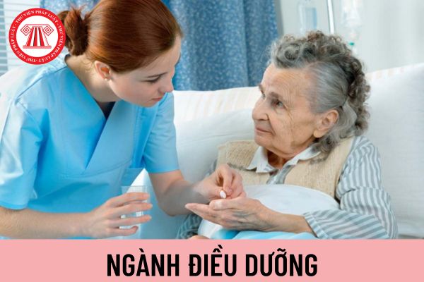 điều dưỡng