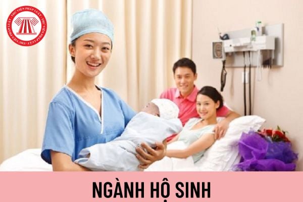 hộ sinh