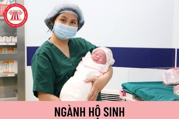 hộ sinh