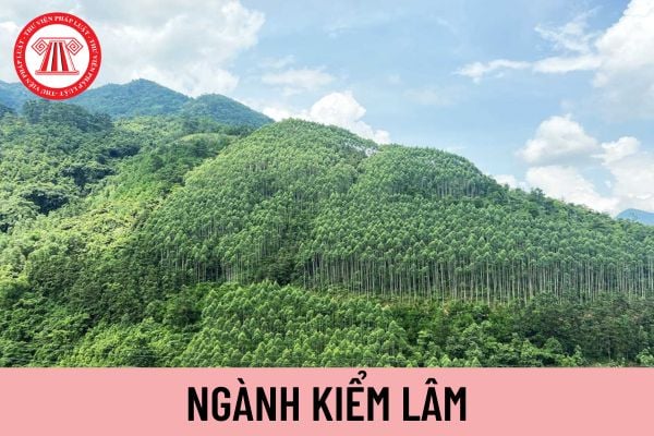 kiểm lâm