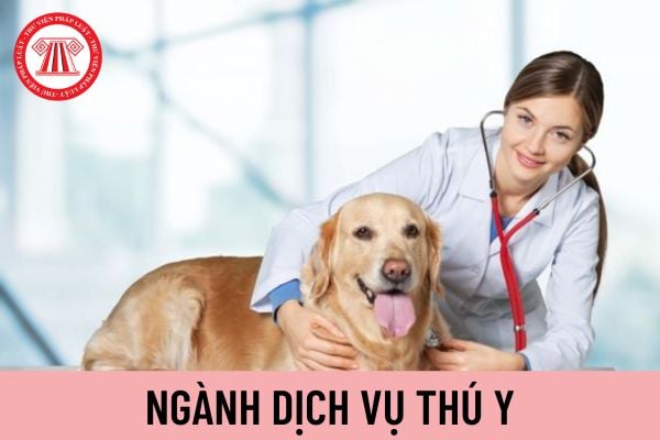 Ngành dịch vụ thú y là gì? Khám phá vai trò và tầm quan trọng của ngành thú y