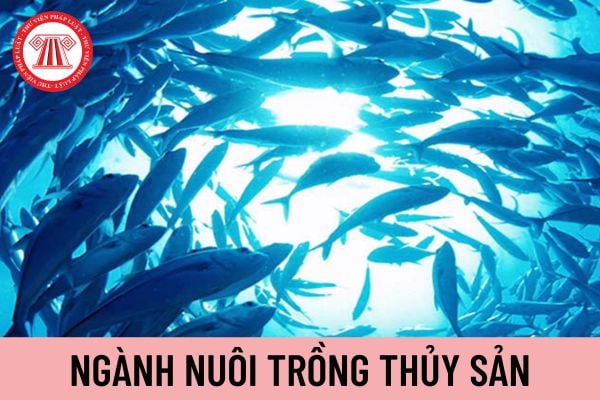 thủy sản