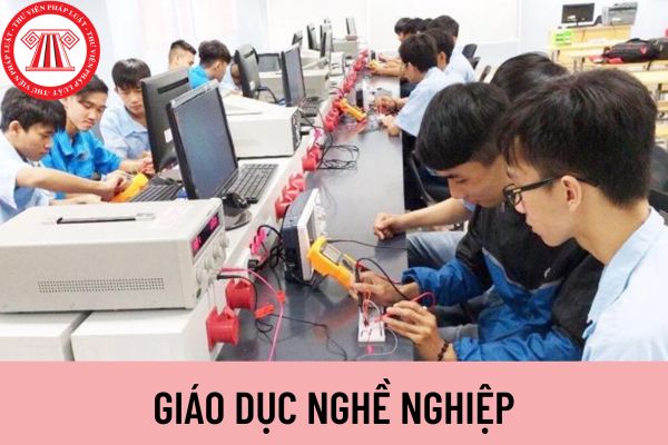 Giáo dục nghề nghiệp