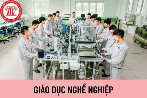 Giáo dục nghề nghiệp