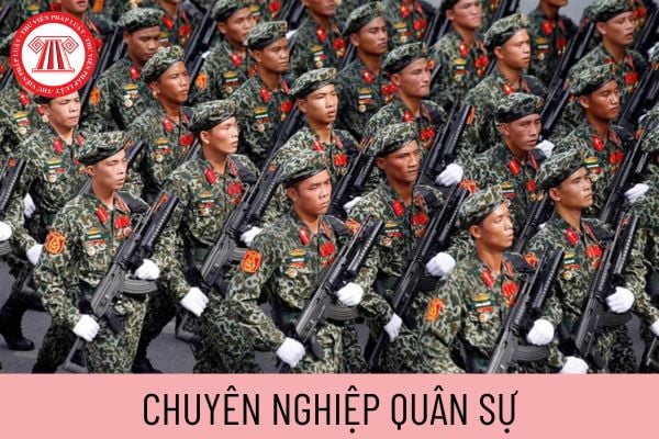 chuyên nghiệp quân sự