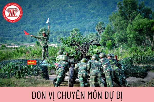 đơn vị chuyên môn dự bị