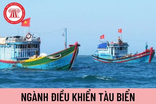 tàu biển