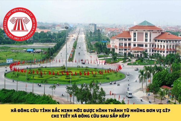 Pháp luật