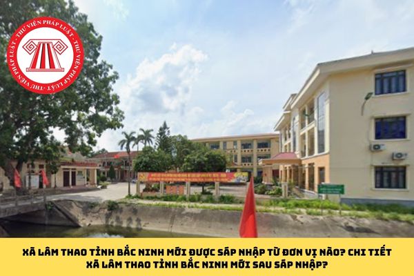 Pháp luật