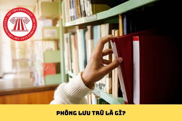 Pháp luật