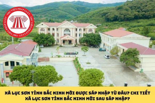 Pháp luật