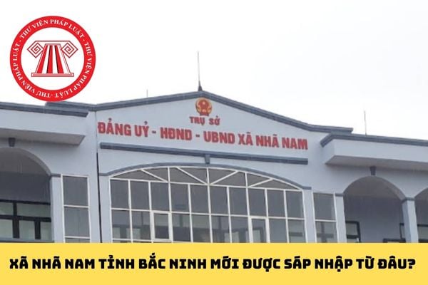 Pháp luật