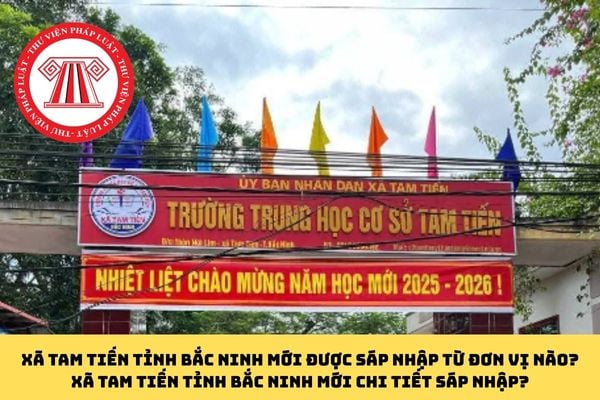 Pháp luật