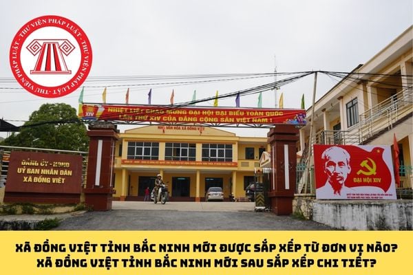Pháp luật