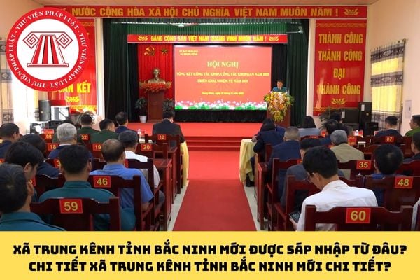 Pháp luật