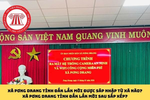 Pháp luật