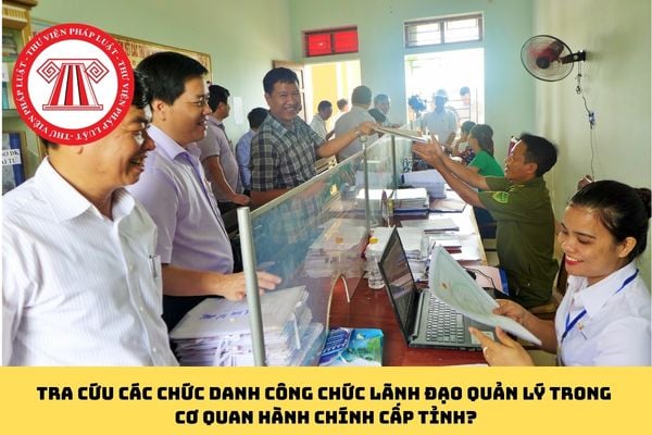 Pháp luật
