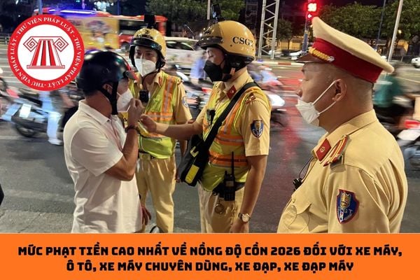 Pháp luật