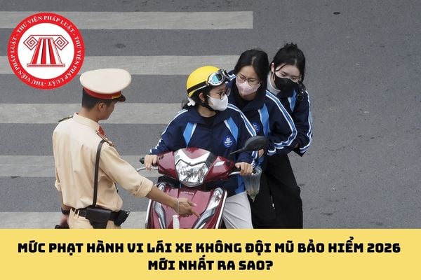 Pháp luật