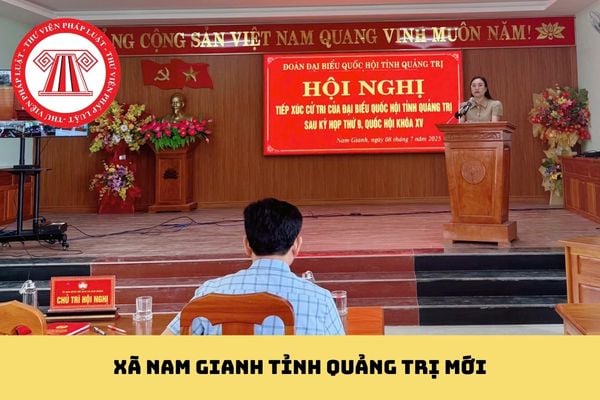 Pháp luật