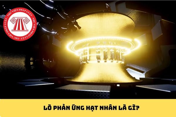 Pháp luật