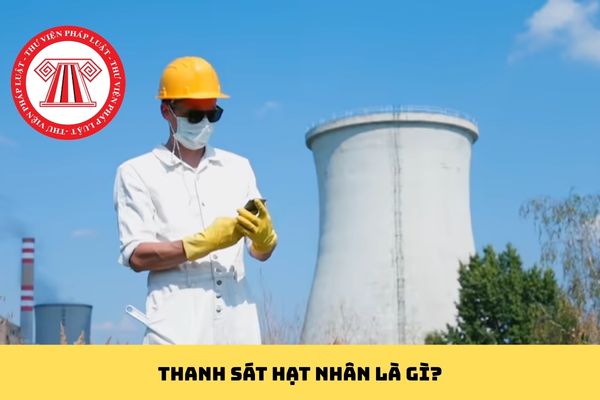 Pháp luật