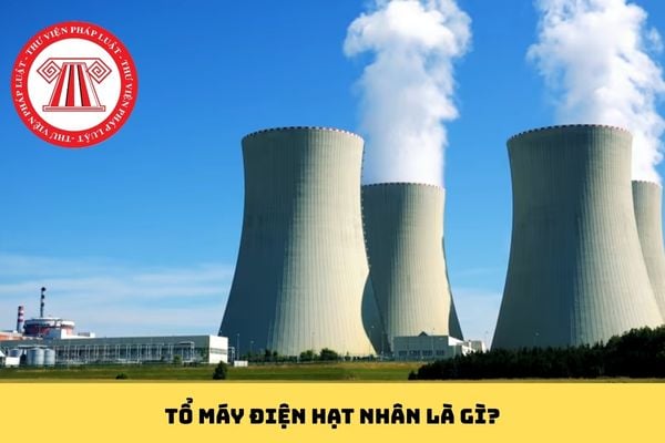 Pháp luật