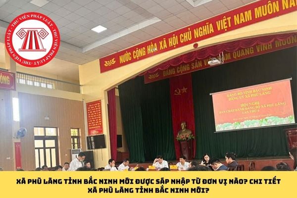 Pháp luật