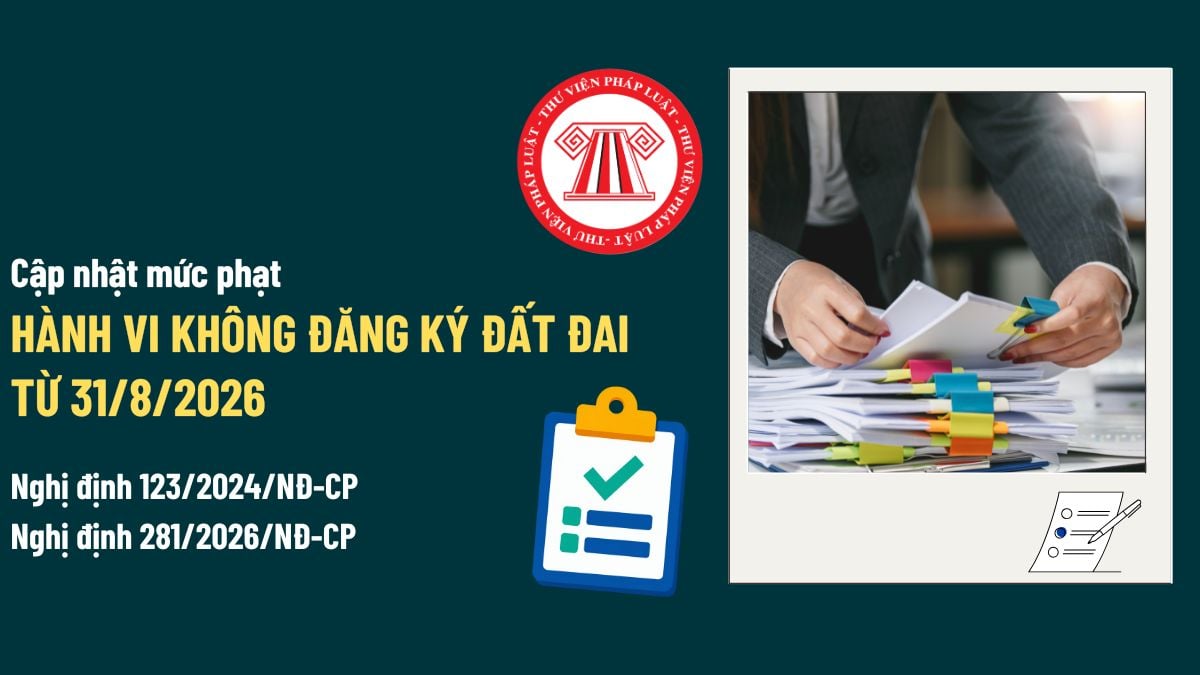 Pháp luật