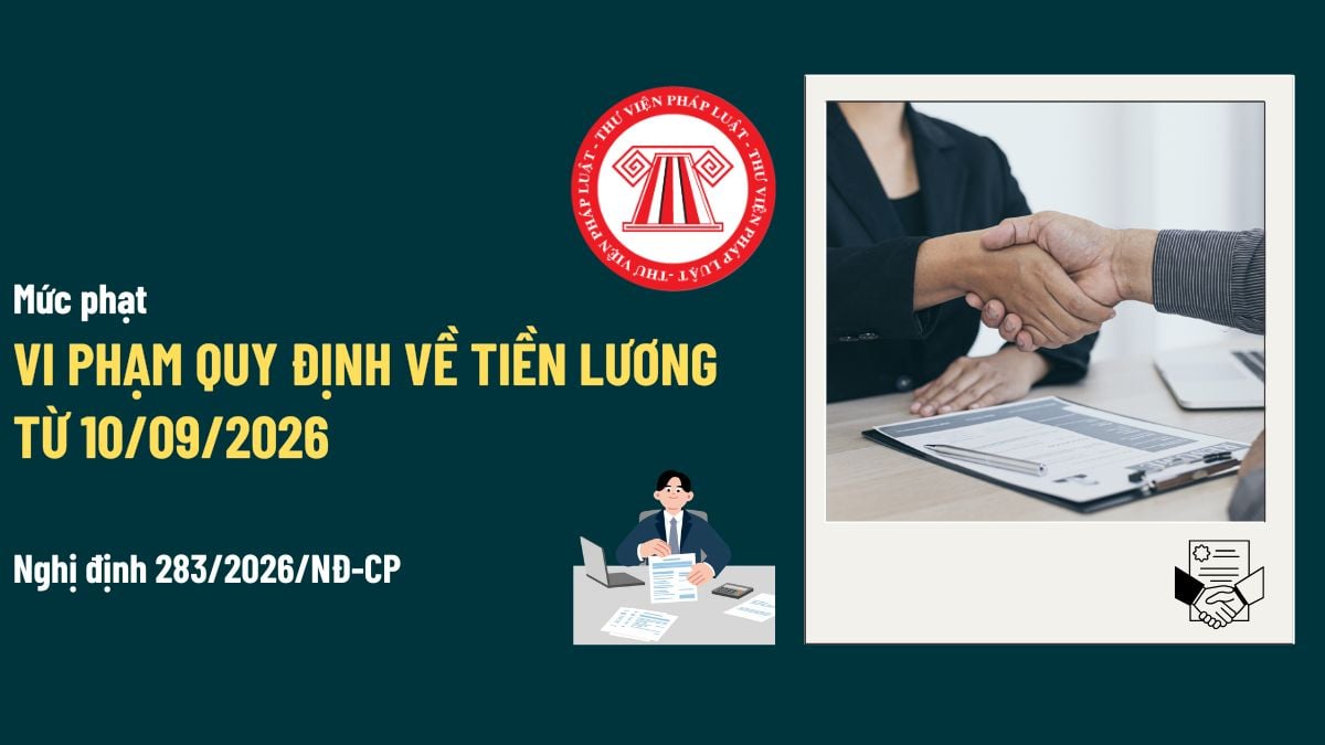 Pháp luật
