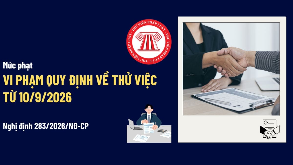 Pháp luật