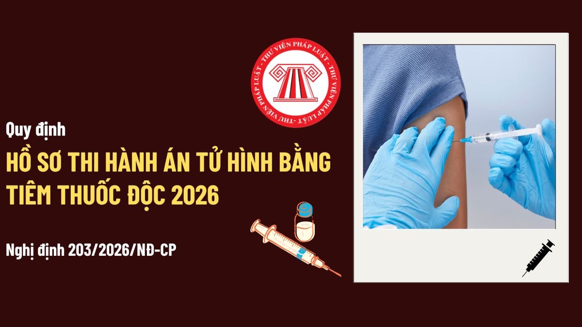 Pháp luật
