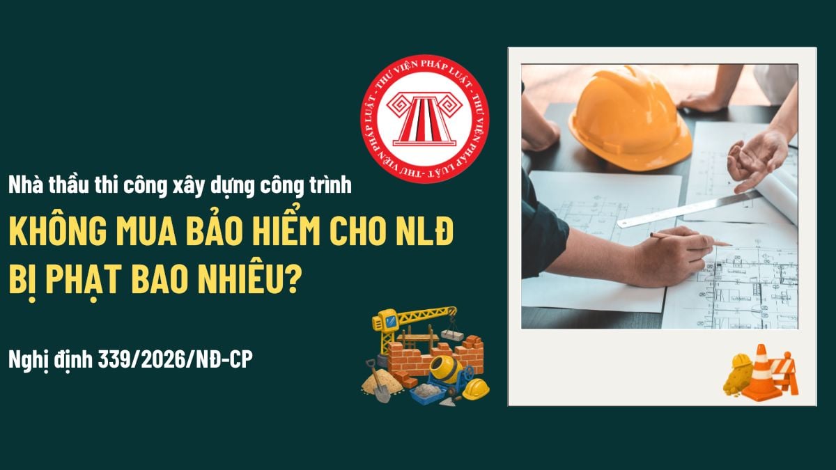 Pháp luật