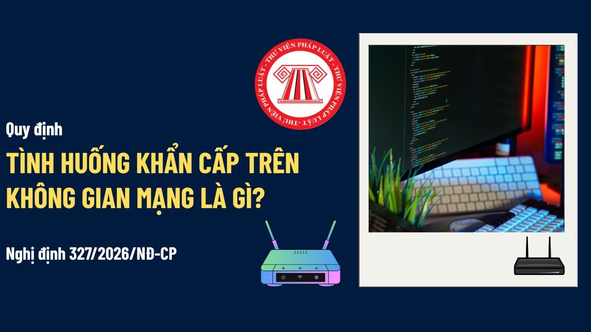 Pháp luật