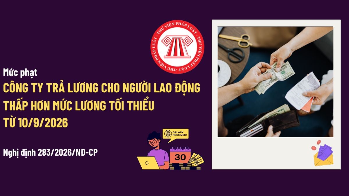 Pháp luật