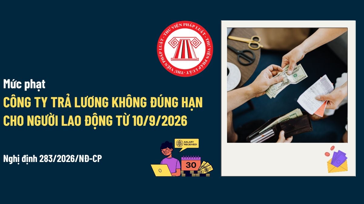 Pháp luật