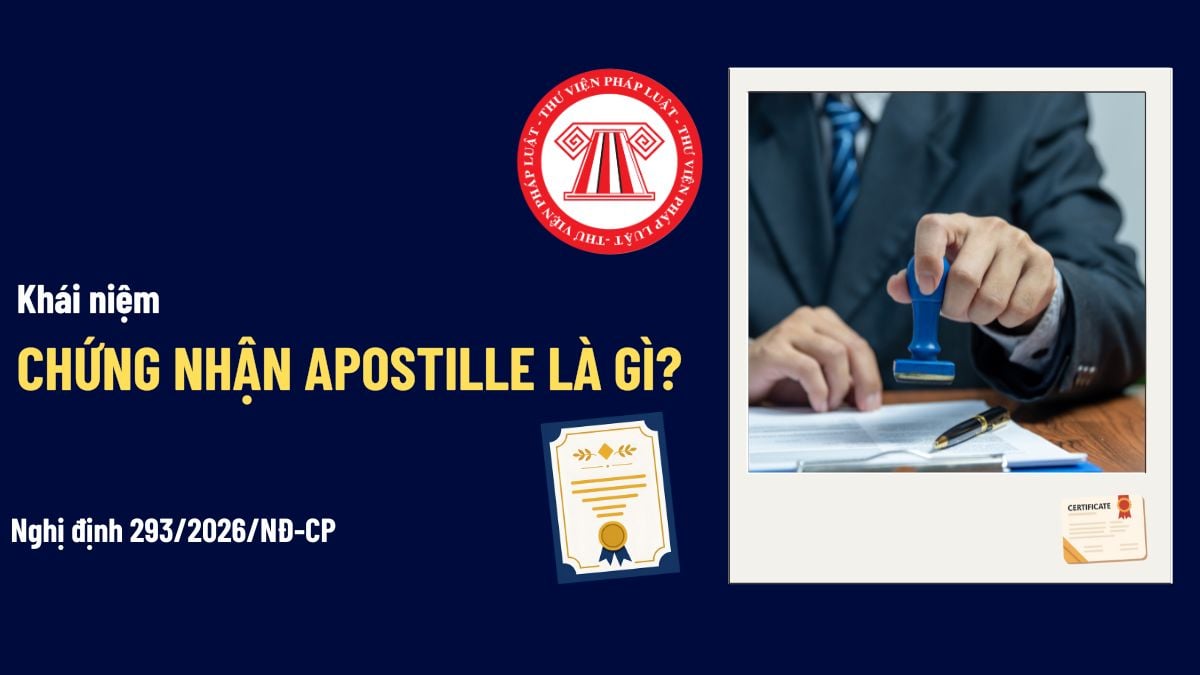 Pháp luật