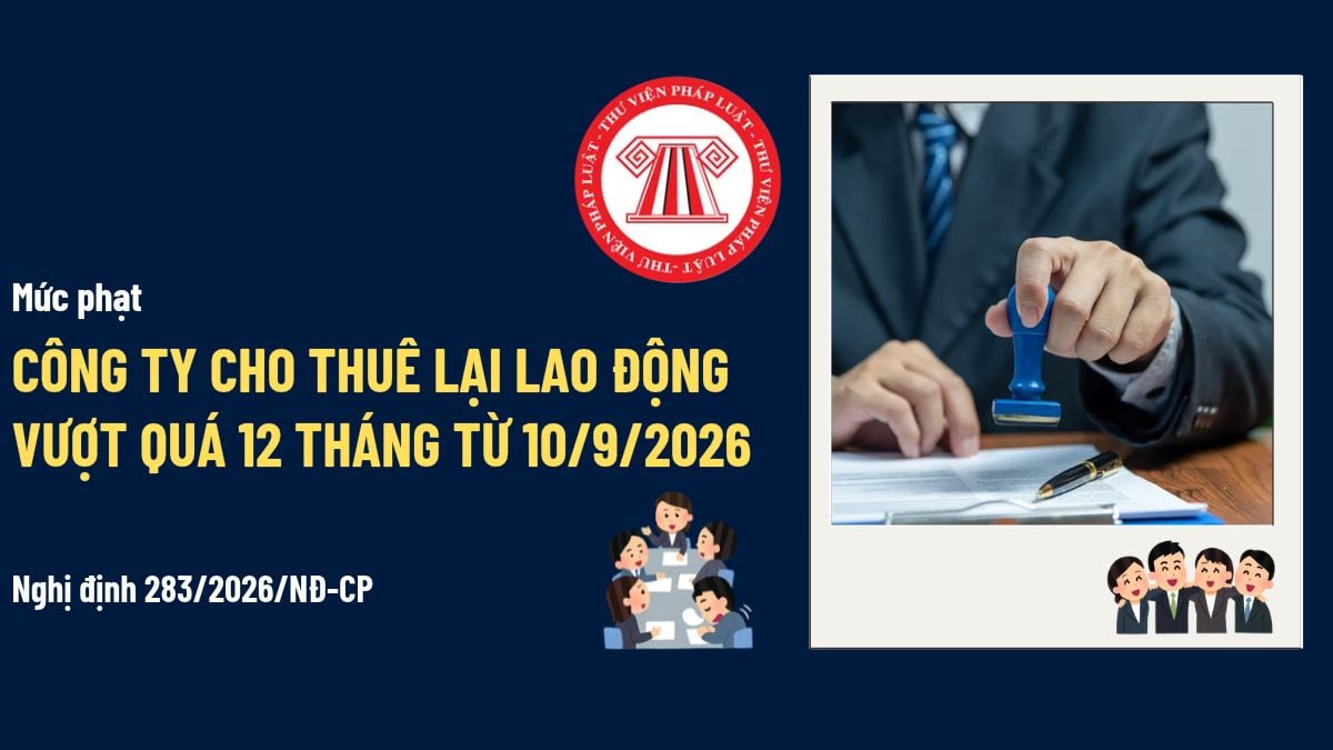 Pháp luật