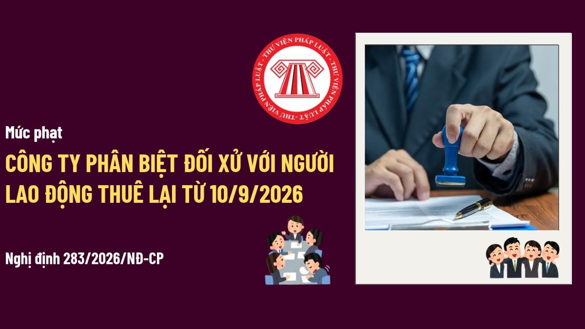 Pháp luật