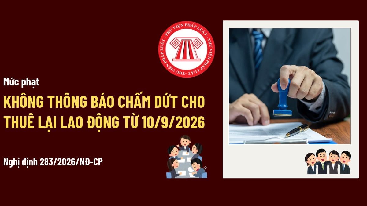 Pháp luật