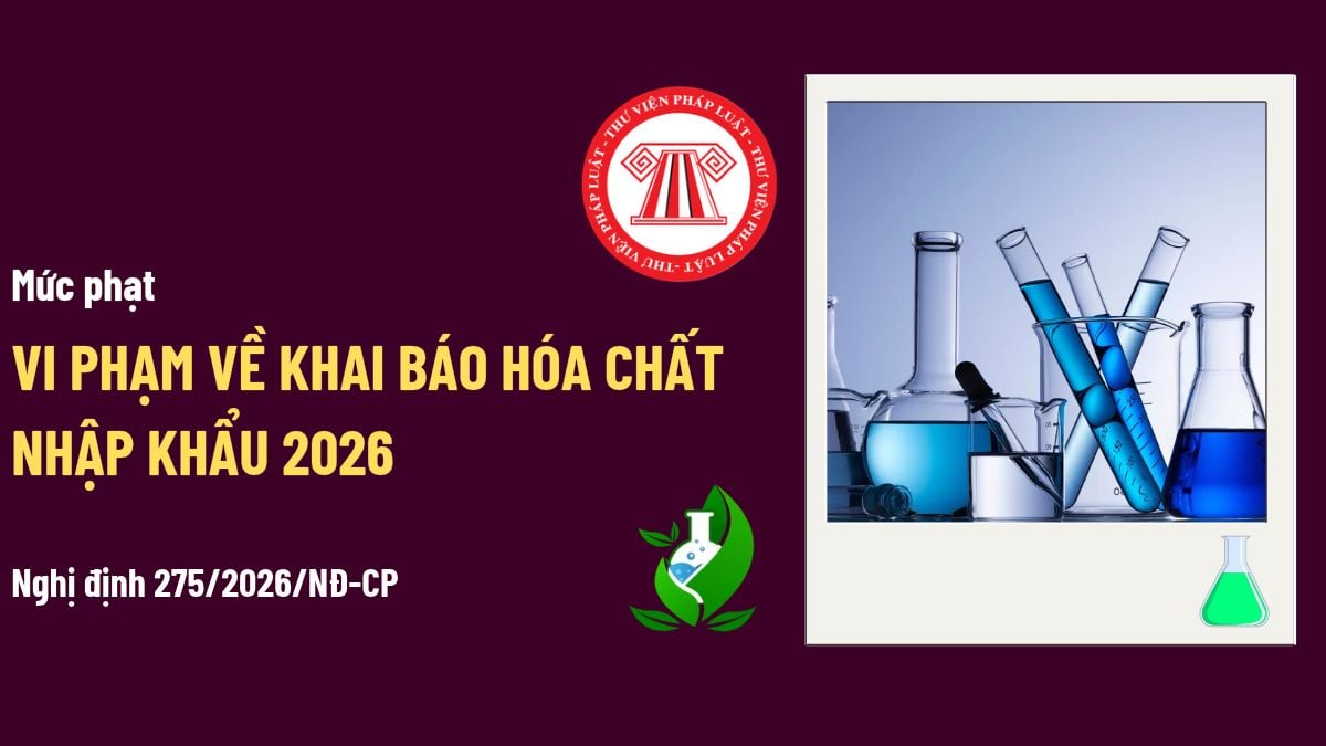 Pháp luật